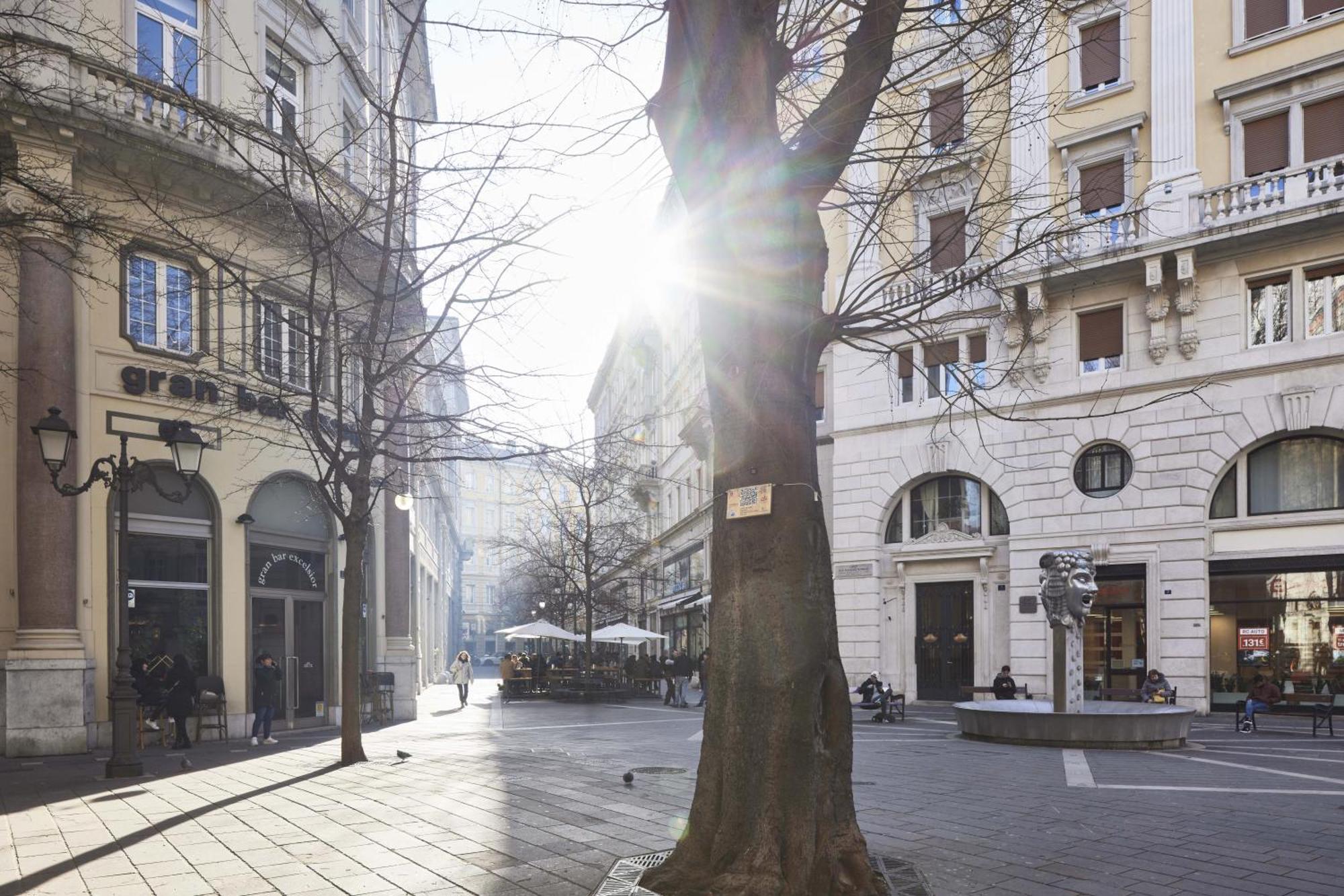Triestinn - Viale Suite Esterno foto